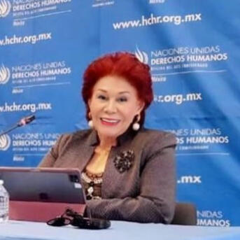 Presidente del grupo de detenciones arbitrarias de las Naciones Unidas